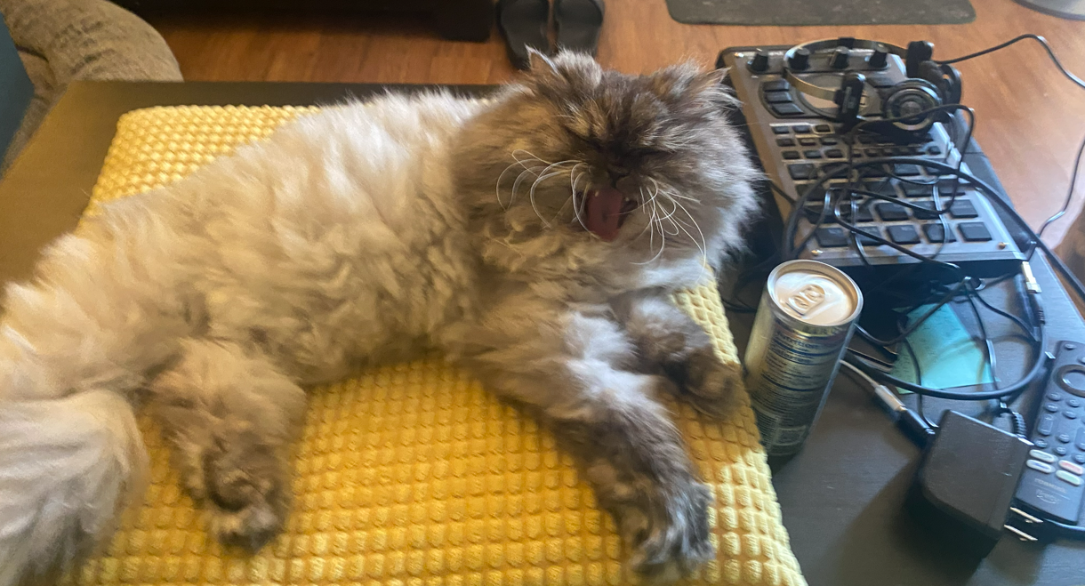 fifi